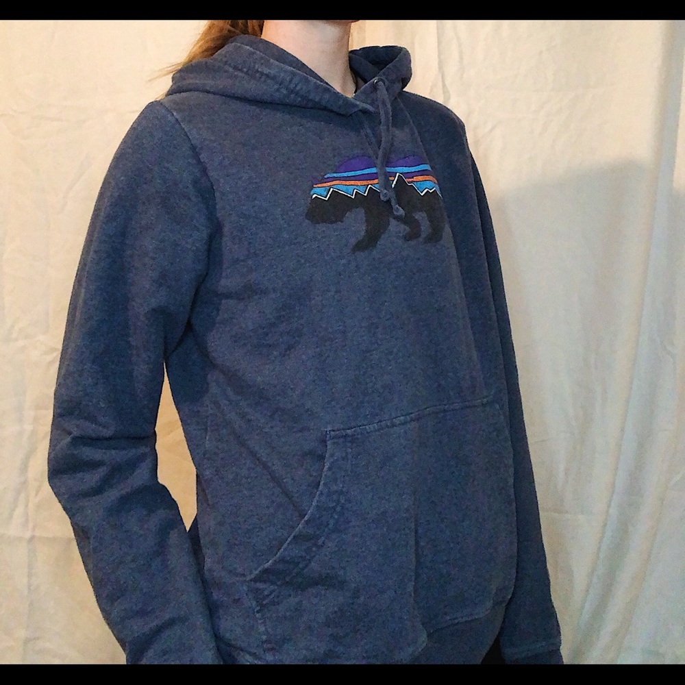 Patagonia mountain bear graphic hoodie